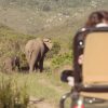 Gondwana Safari