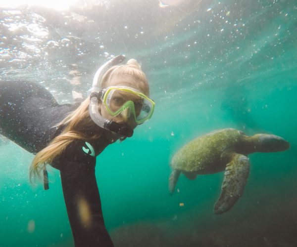Galapagos Snorkel with Turtles