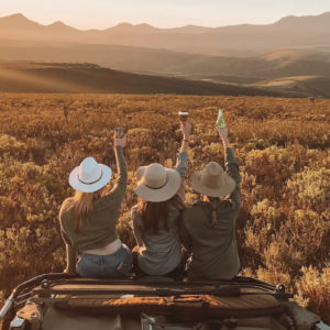 South Africa Tour Safari